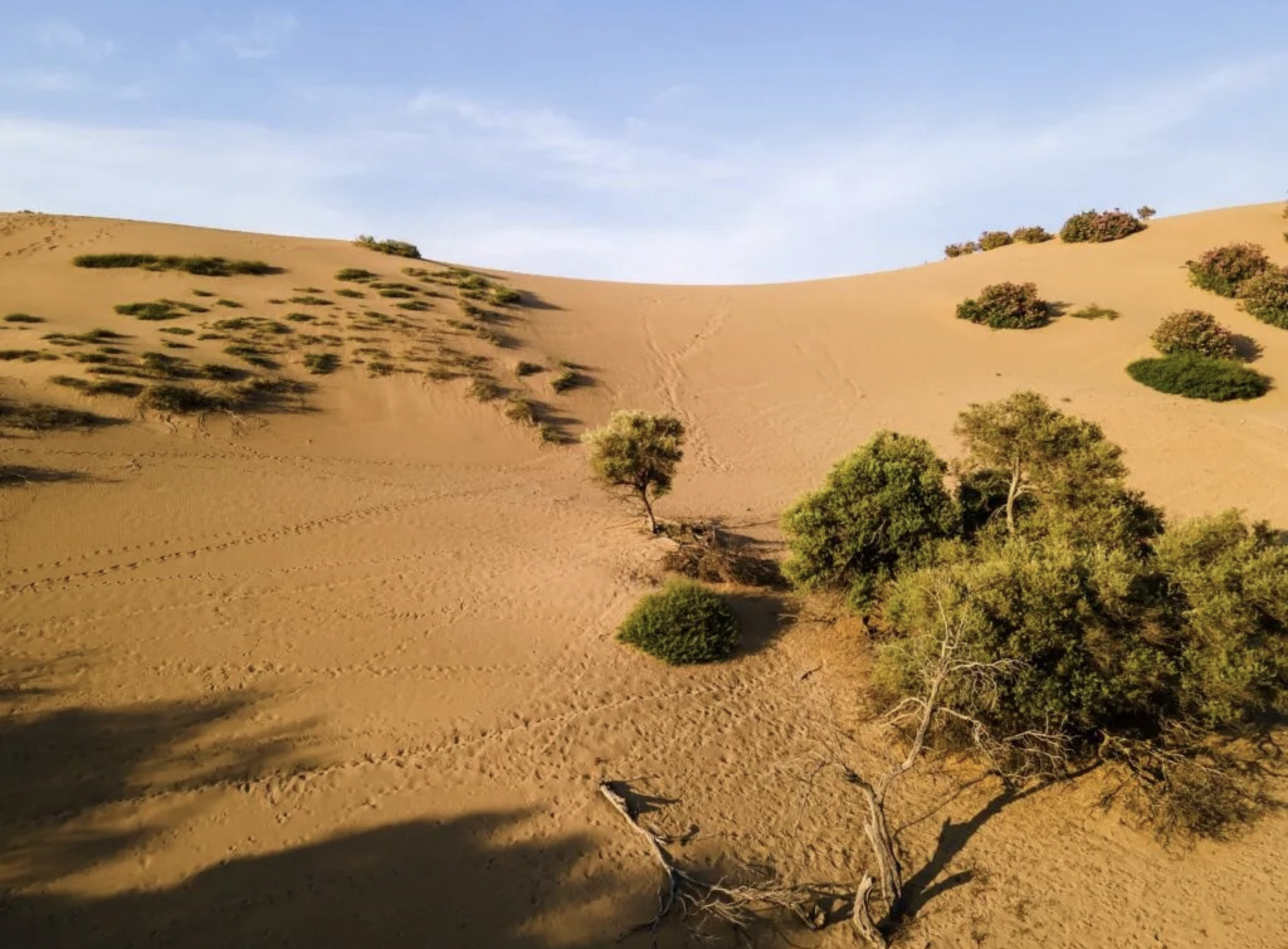 0F40A985 9639 4730 8CAB 9FE24BA9157A