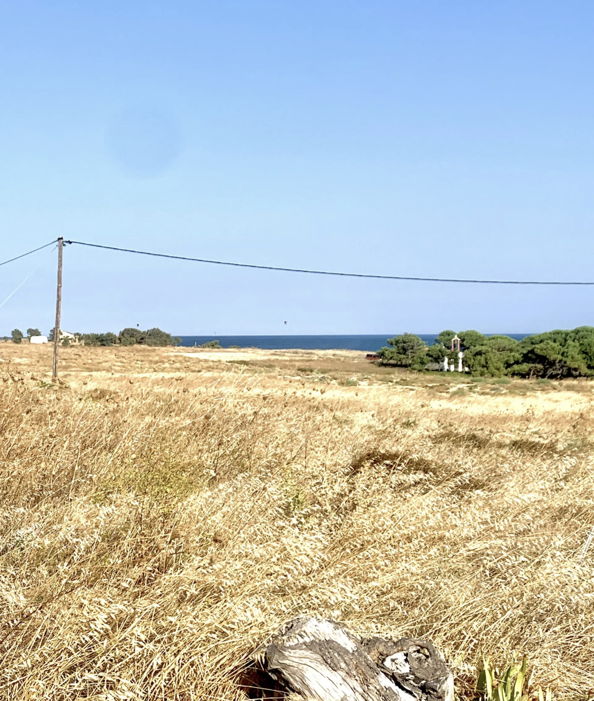 431C3F26 CFFD 455A AE5D A54D2329776F