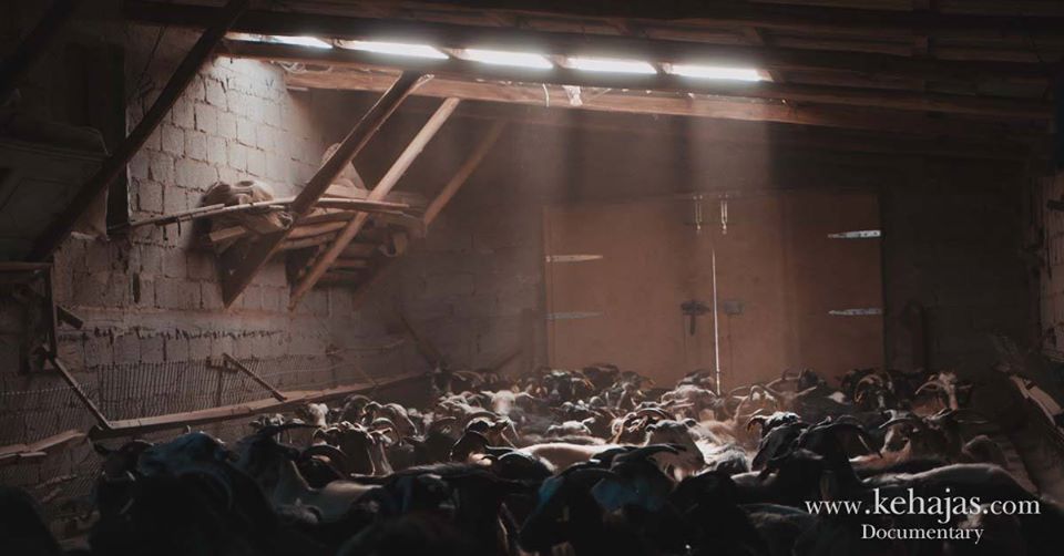 71961811 117727909636324 1710233561832882176 o