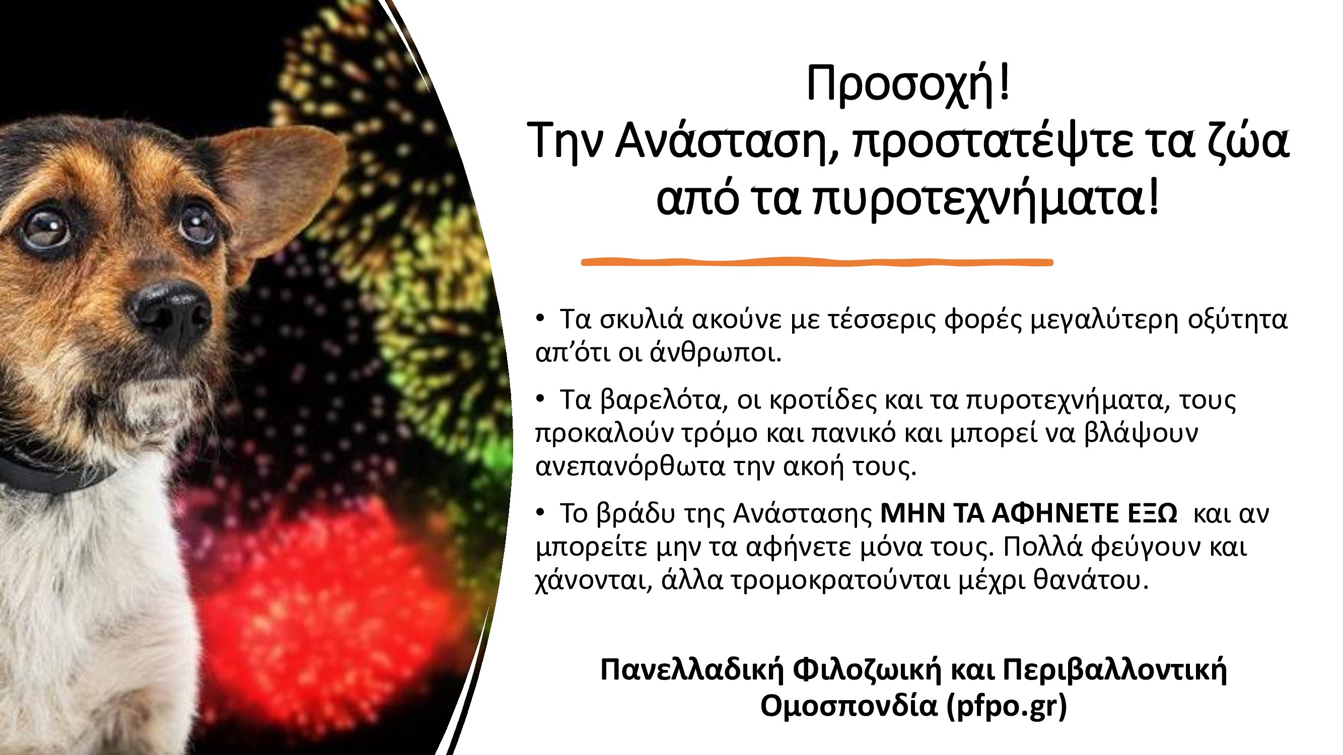 8AF73D7B 590E 473C B1CD F0C98D806F40