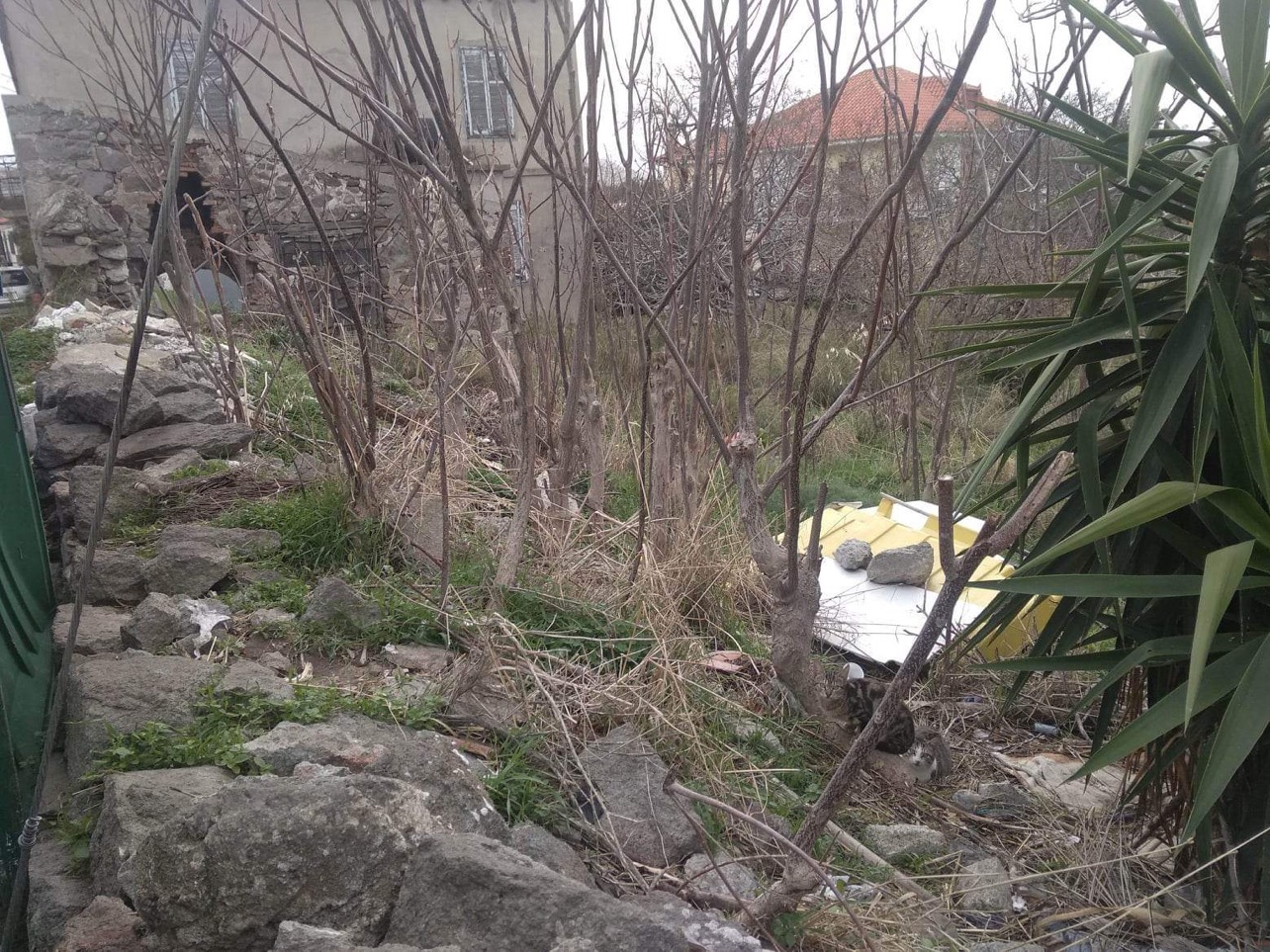 A57AD18B 49B5 4C2C A729 13BF59E79280