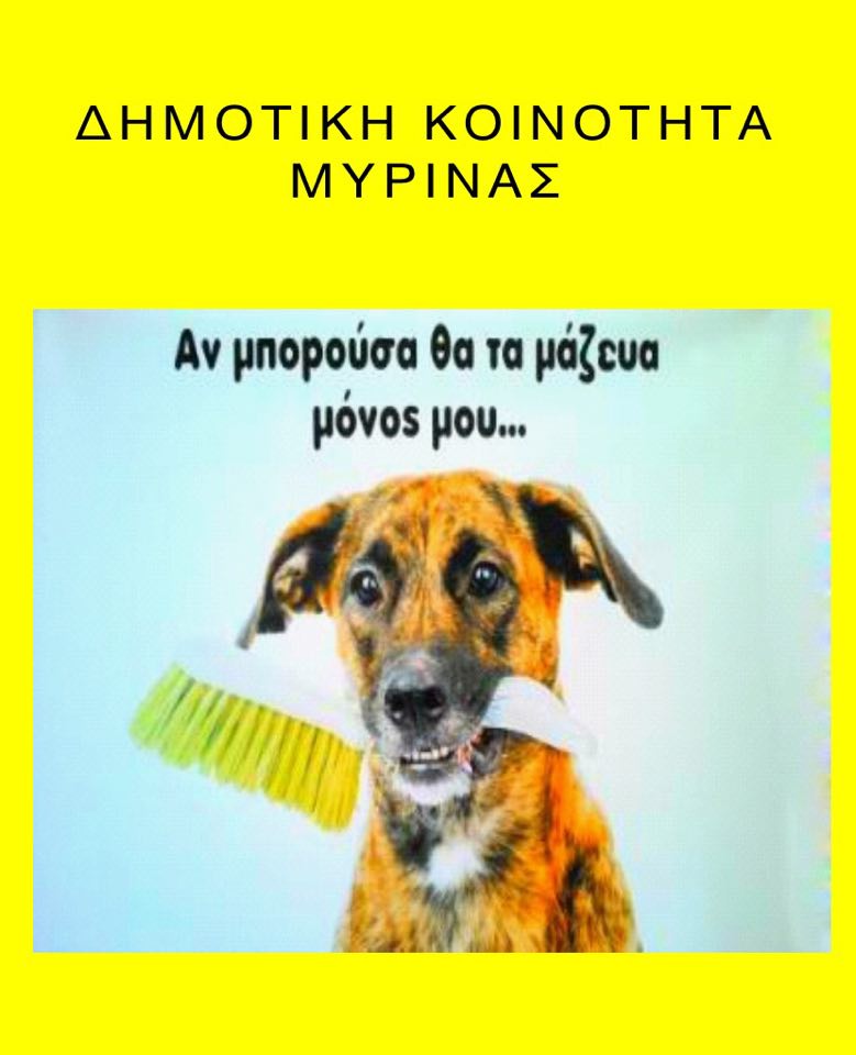dimotiki koinotita myrinas skyloi
