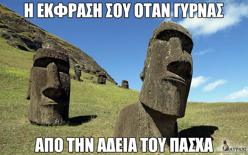 13095962 1006850899397118 1906455589889786420 n