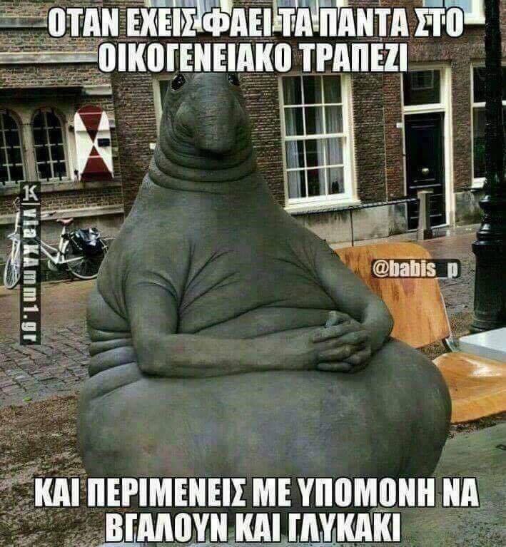 18009926 10202905036542484 96946032 n