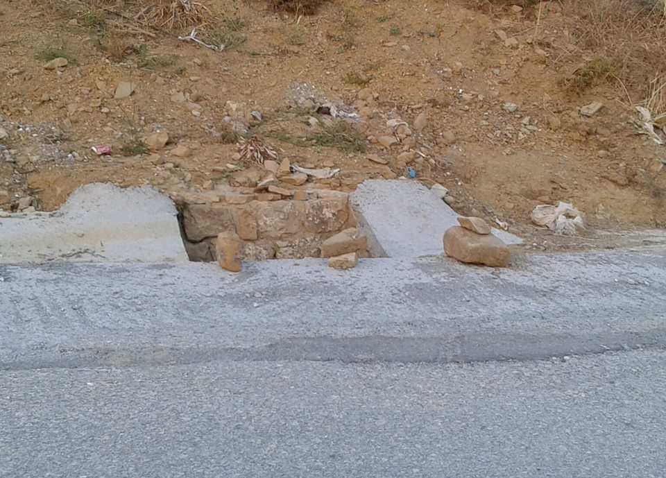 19511992 10211669926696746 1191719509 n