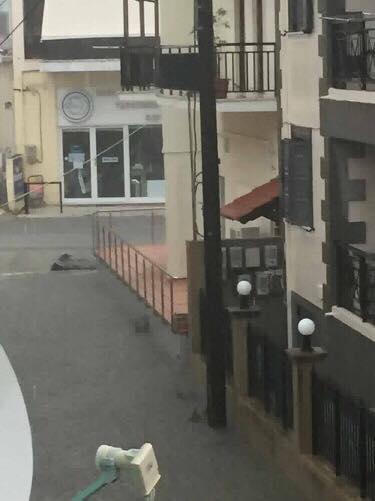 20136334 10203319119254293 641736737 n