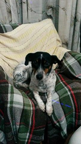 22014950 509564772727960 2085535090 n