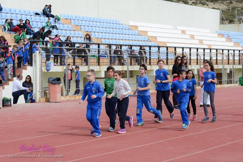 ael amea 8