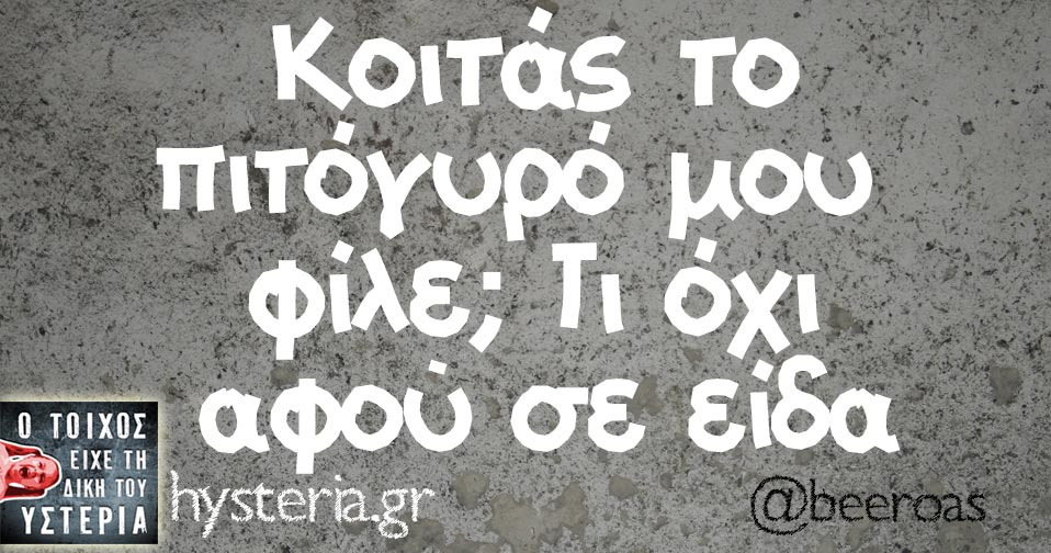 hdhdhsshdshaasshdgd