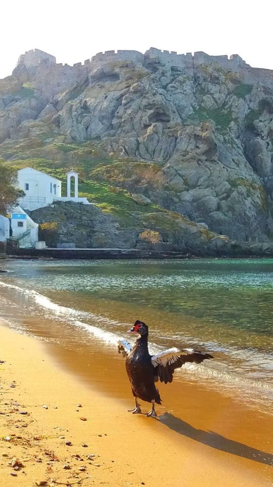 101226873 265825817975528 1567275609745260544 n