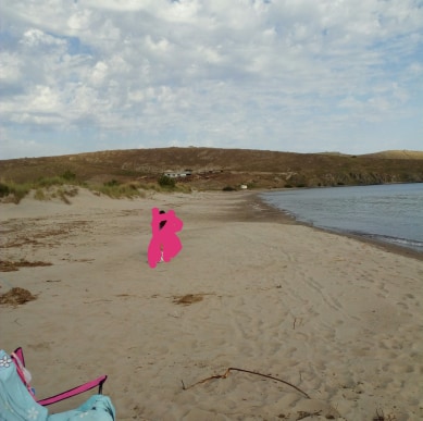 102454992 965289543913261 5586414864508254638 n