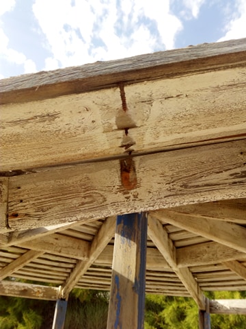 103191514 722911601870619 5052548879200549700 n