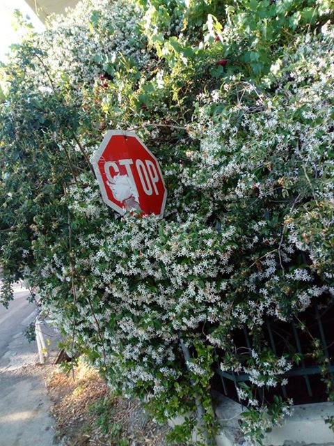 103985684 577448399466408 1964319903601868111 n