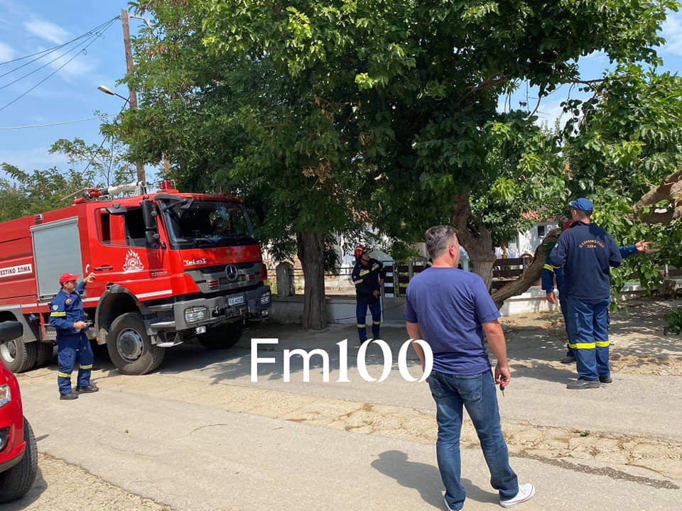 117600136 3261267797226567 3955599148922993017 n