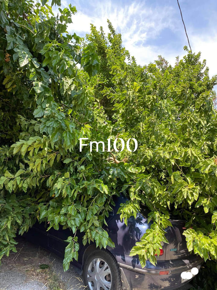 117657677 3261267393893274 7387230706715847067 n