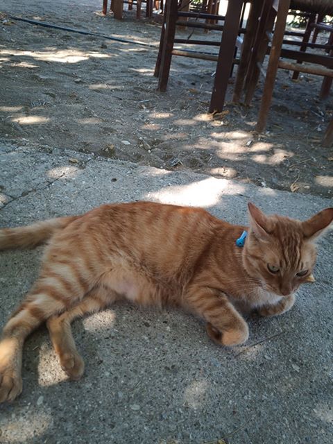 117907617 301809357814037 4812629081867237349 n