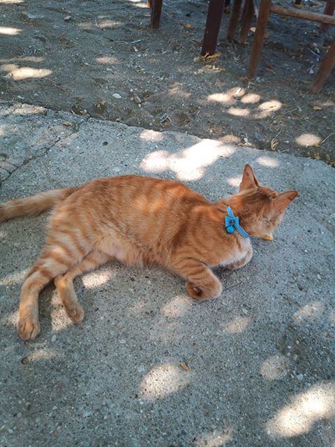 117947189 1453605364831758 1143518616087008978 n