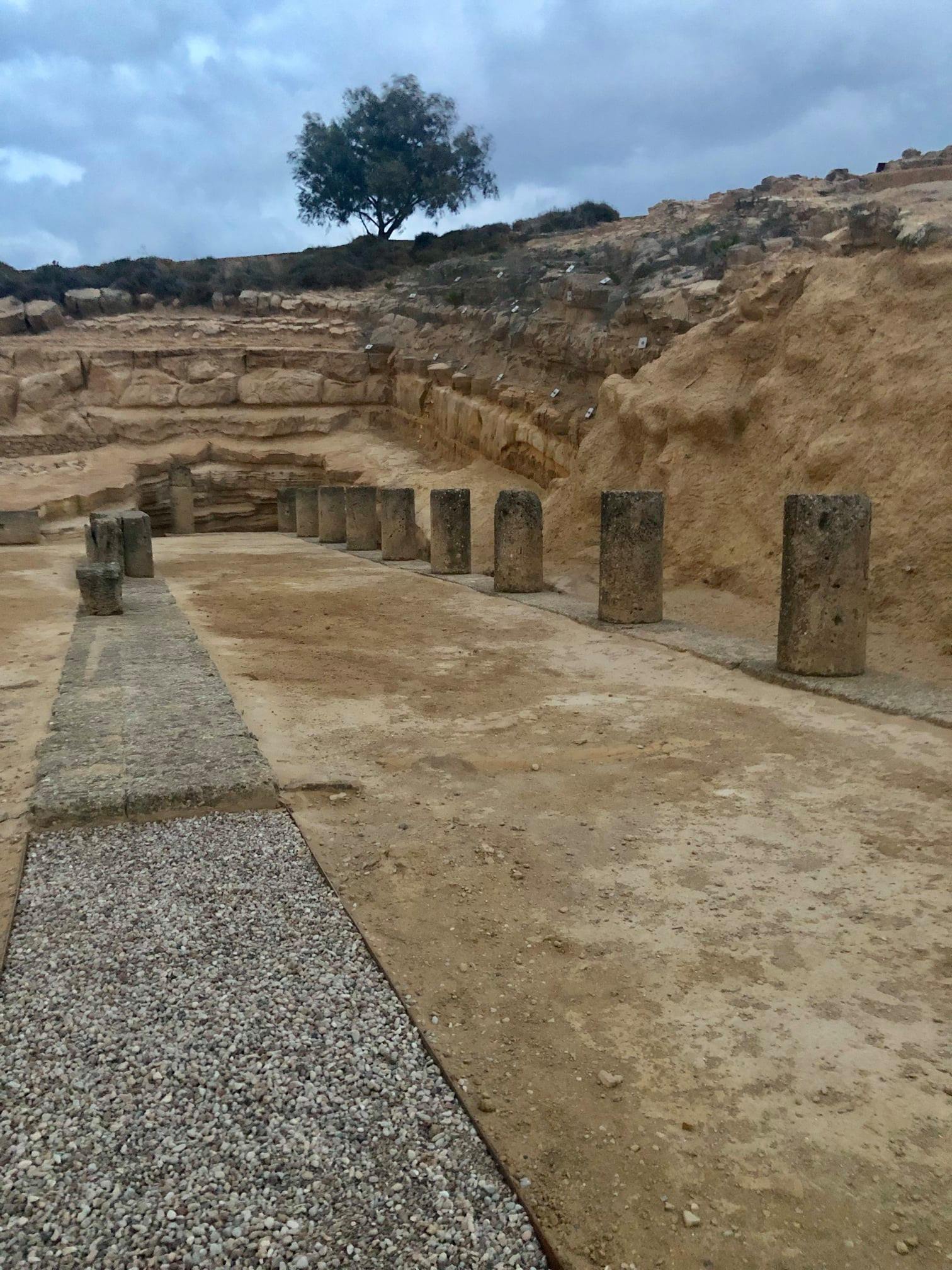 120252044 3340047892887796 8645516494466018641 o