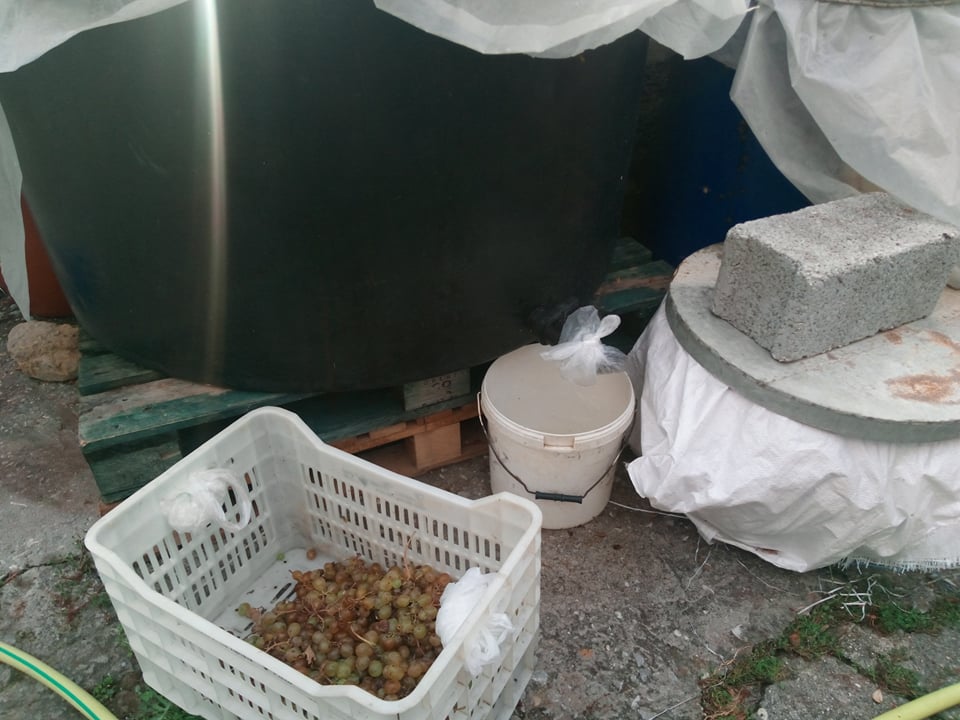 121007604 343221220288399 7862207744467612229 n