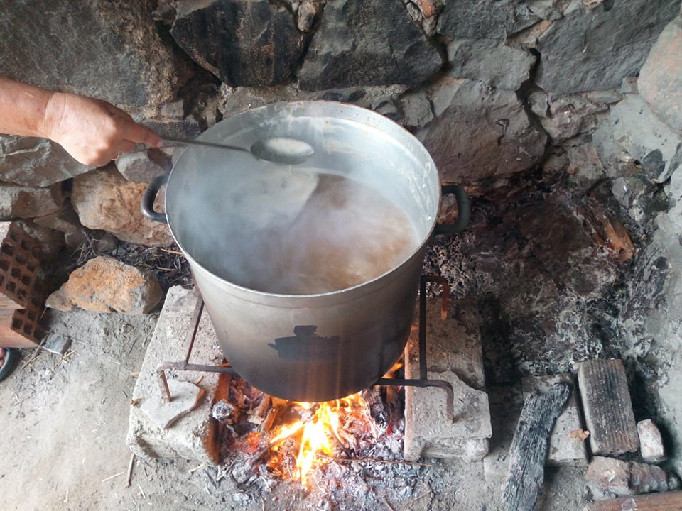 121035225 387613382627917 1703728879495556422 n