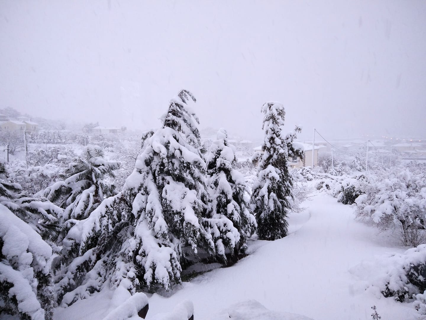 139421232 724546681795843 9074990112981911309 o