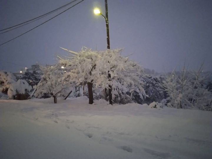 139448510 110761664288298 6370894253374722597 o