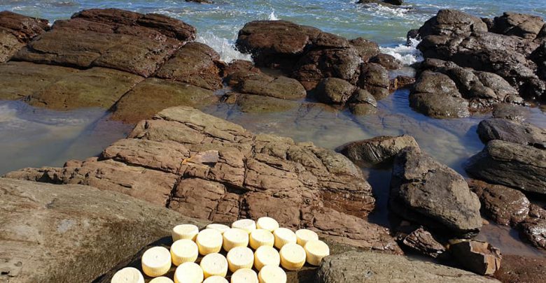 31A7877D A249 4564 927C EDD4A728409D