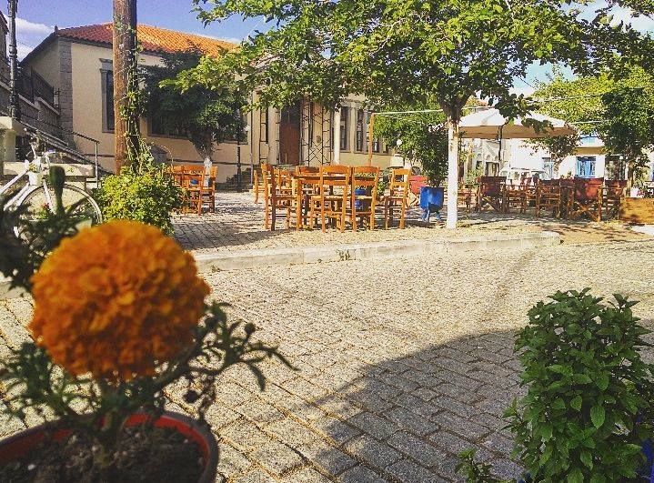 35226281 10213968805992012 7307602797891944448 n