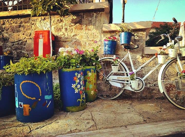 35238497 10213968801831908 4705014025681895424 n1