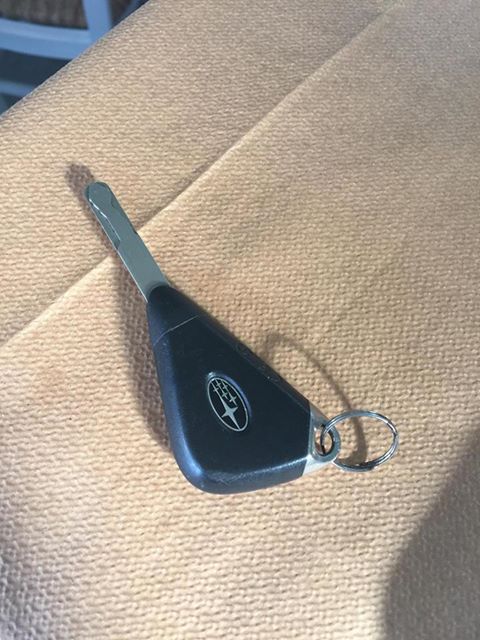 49136522 1157152434444027 6706636736019038208 n