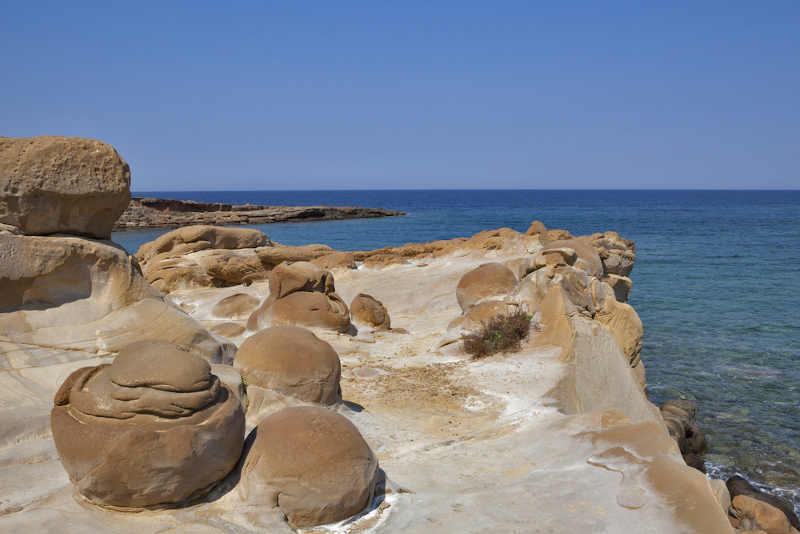 63F6044D 9BAD 477A A2B8 6CD1F9432D8A