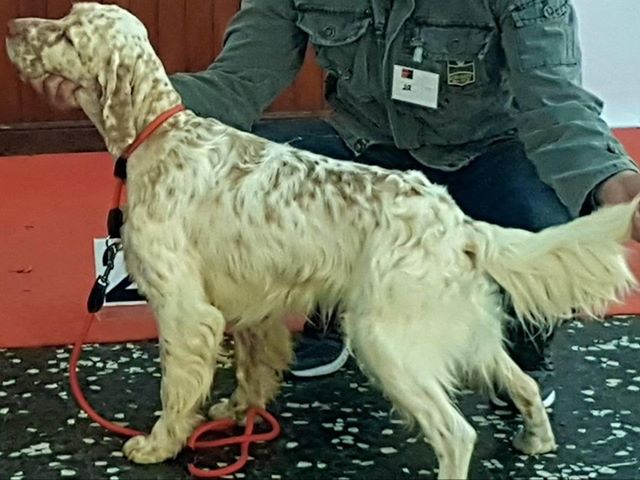 70139801 2919954298018820 4065700558760050688 n