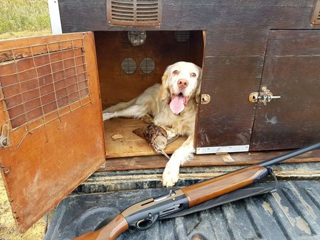 70343430 501019473796204 661698239468142592 n