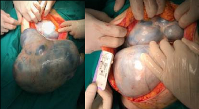 7f66eb8d 13d2 44eb a57f e48d2fa76eaf