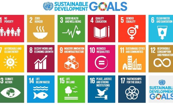 SDG official card 1 600x365