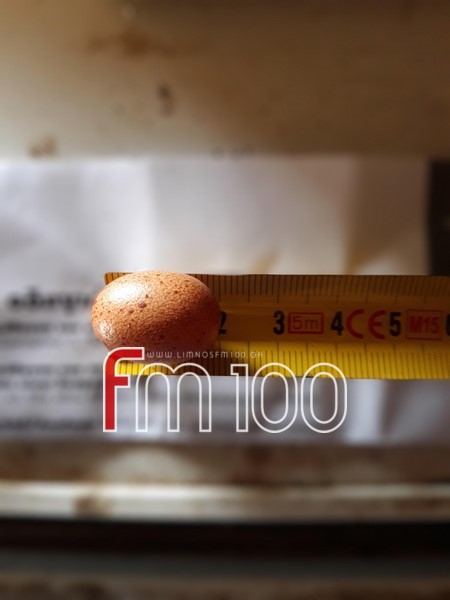 mikrotero avgo limnos