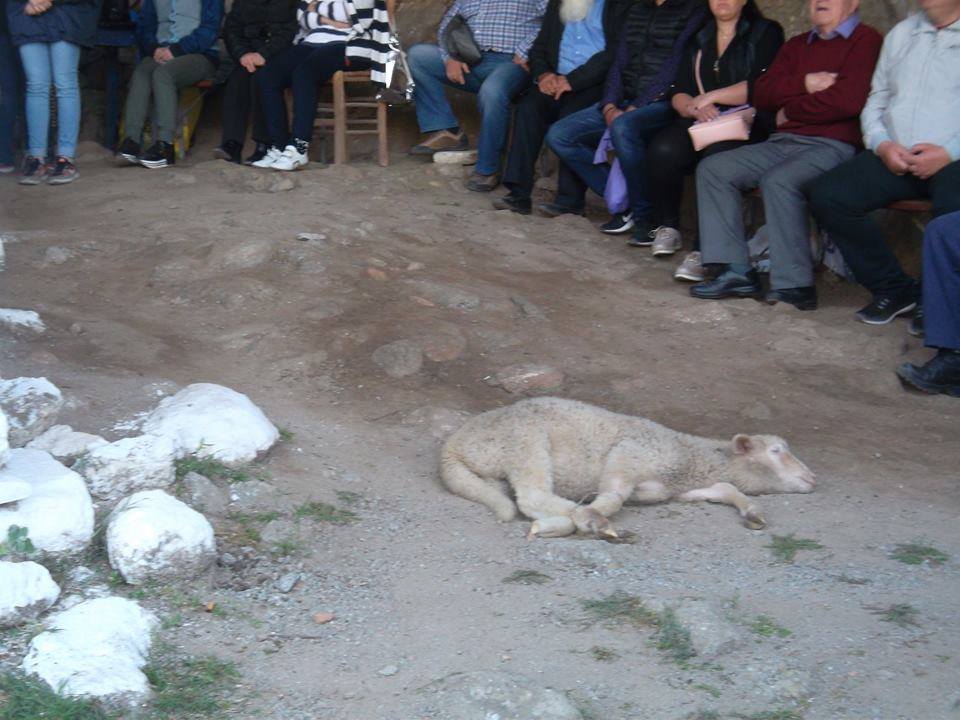 zwo panagia kakaviwtissa