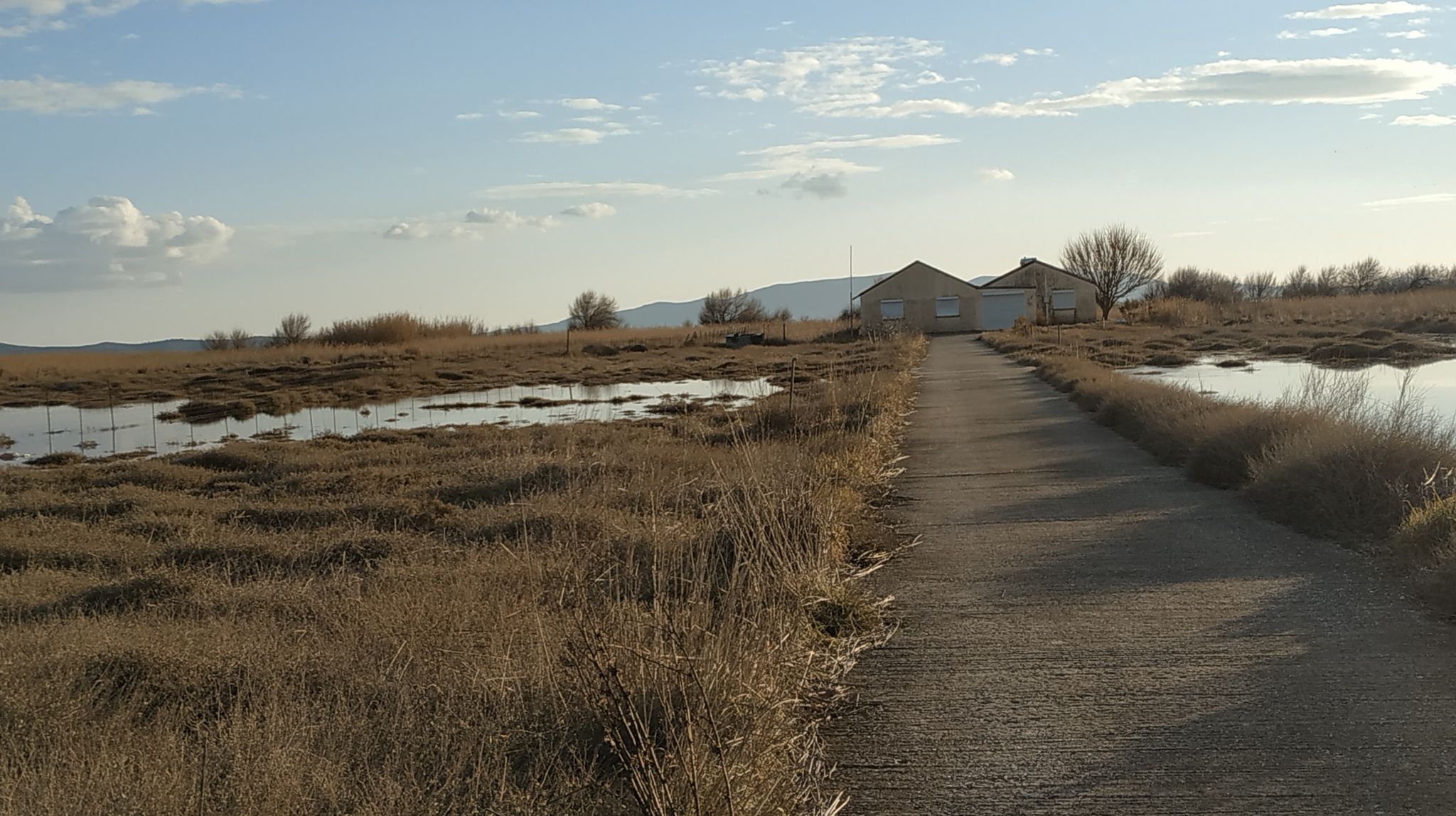 151253393 2520602431568643 6870433462128579489 n