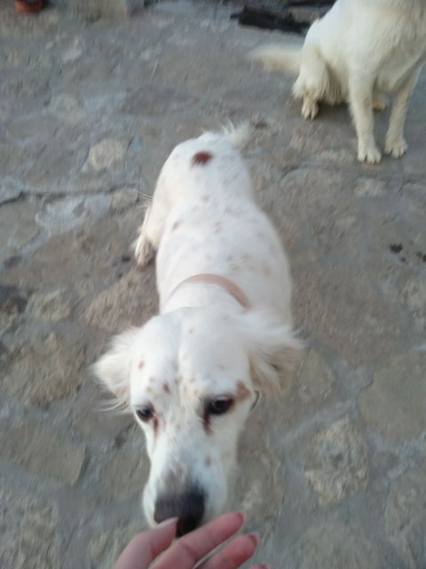 156380230 254845492773310 2293444787644722369 n