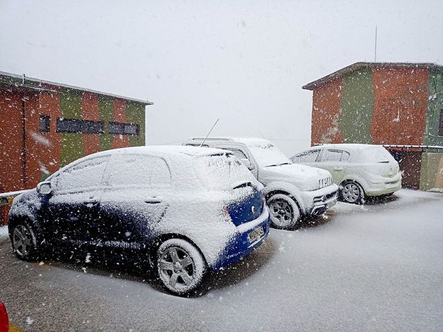 164401001 268419834908655 1831779811081102089 n