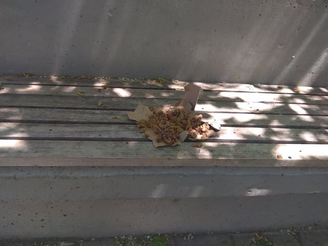 186534272 1217717062031504 2766697218983215449 n