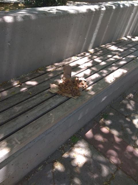 187248076 1722906061245186 6908500615143773330 n