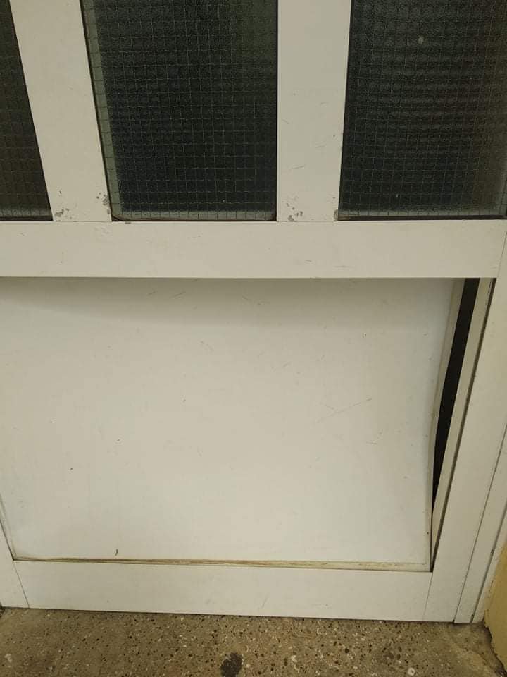 201187388 3098190860461596 2020836984206275791 n