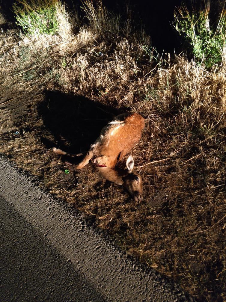 221182405 1748258758711186 6386593391485661116 n