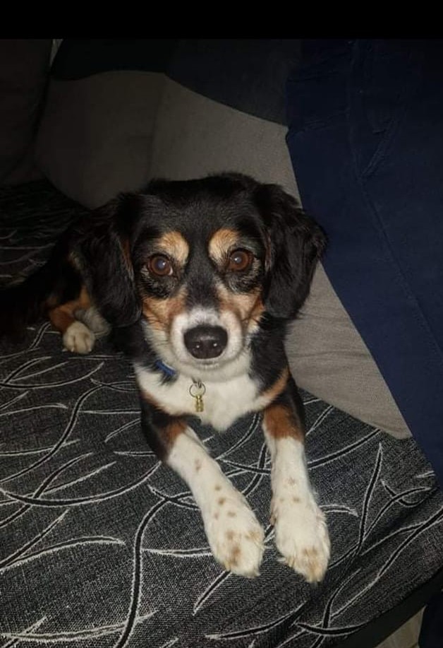 236253248 2974976292759118 5517840557664001460 n 1