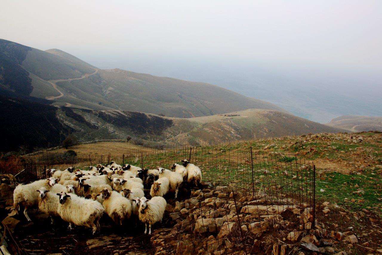 181022 Nasos Karagiannakis Vigla Lemnos 010
