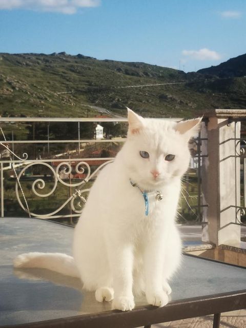 269680851 460662445633007 8277152762434258404 n