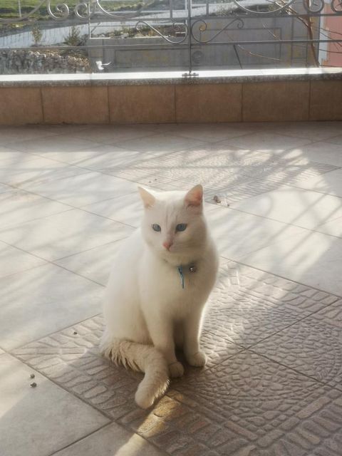 272099742 650484676367747 11016273420347457 n