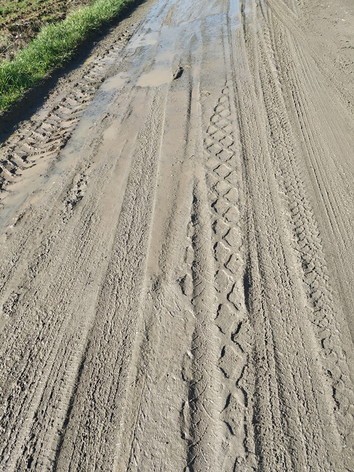 273618143 4481012185343986 7242548781906162708 n