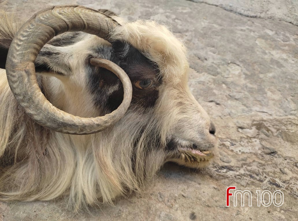 306324424 561847995678567 8929502949544955703 n